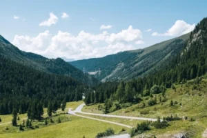 Genossenschaftswohnungen: Unterschiede zwischen den Bundesländern